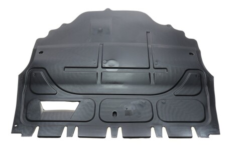 Защита двигателя Skoda Fabia (99-14)/VW Polo (01-09,09-14)/Seat Ibiza (02-10) DPA 88250108302