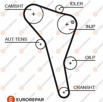 Ремінь ГРМ Eurorepar 1633129180