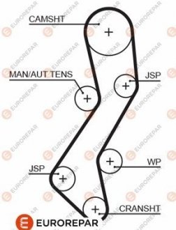 РЕМІНЬ ГРМ Eurorepar 1633136880 (фото 1)