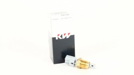 Датчик температури повітря, 2.5TD KW 494 004