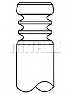 Клапан випускний BMW N20/N52/N54/N55 MAHLE / KNECHT 081VA31923000 (фото 1)