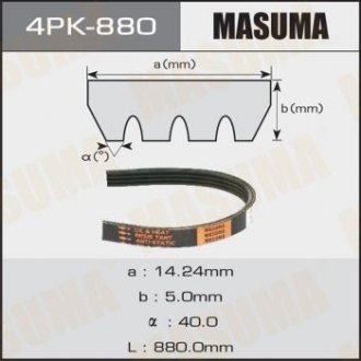 Ремінь поліклінової (4PK-880) MASUMA 4PK880