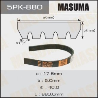 Ремінь поліклінової (5PK-880) MASUMA 5PK880