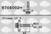 Болт шківа колінвалу, 1.4-1.6 16V, 1.5dCI Kangoo, Clio, Megane 02- 8704002