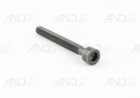 Болт M6X55 крепления насос-форсунки AUDI/VW VAG 070 103 385A